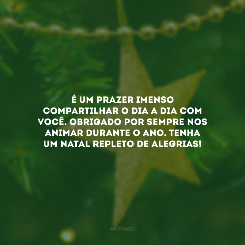 É um prazer imenso compartilhar o dia a dia com você. Obrigado por sempre nos animar durante o ano. Tenha um Natal repleto de alegrias!