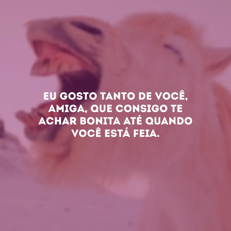 Eu gosto tanto de você, amiga, que consigo te achar bonita até quando você está feia.