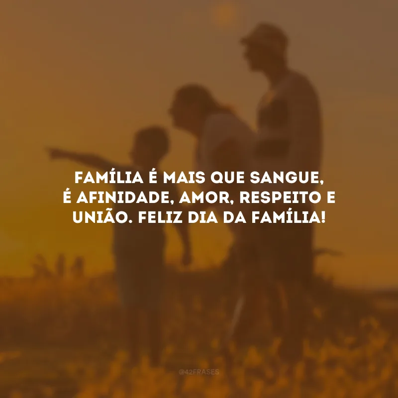 Família é mais que sangue, é afinidade, amor, respeito e união. Feliz Dia da Família!