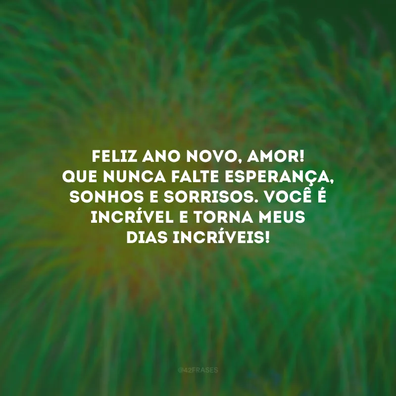 Feliz Ano Novo, amor! Que nunca falte esperança, sonhos e sorrisos. Você é incrível e torna meus dias incríveis!