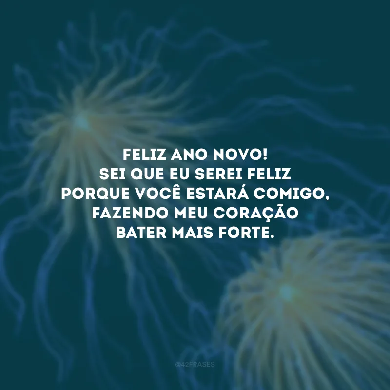 Feliz Ano Novo! Sei que eu serei feliz porque você estará comigo, fazendo meu coração bater mais forte.