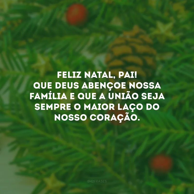 Feliz Natal, pai! Que Deus abençoe nossa família e que a união seja sempre o maior laço do nosso coração.