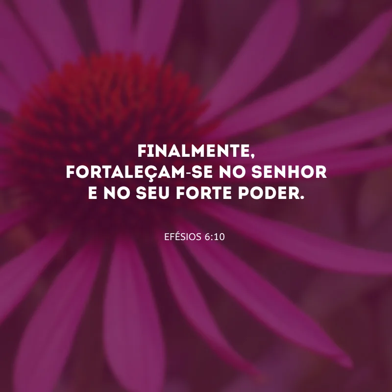 Finalmente, fortaleçam-se no Senhor e no Seu forte poder.