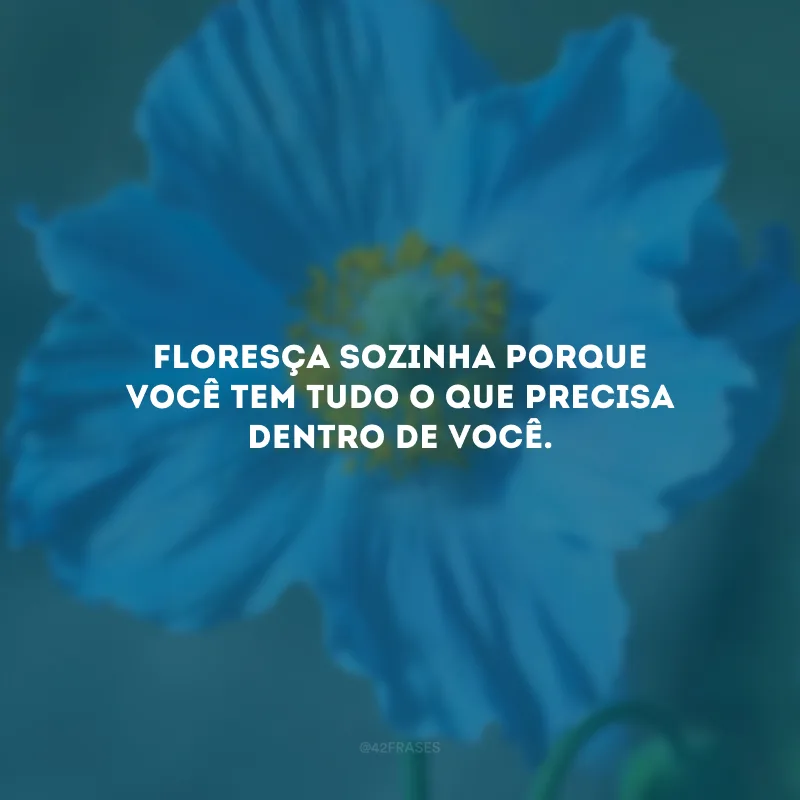 Floresça sozinha porque você tem tudo o que precisa dentro de você.