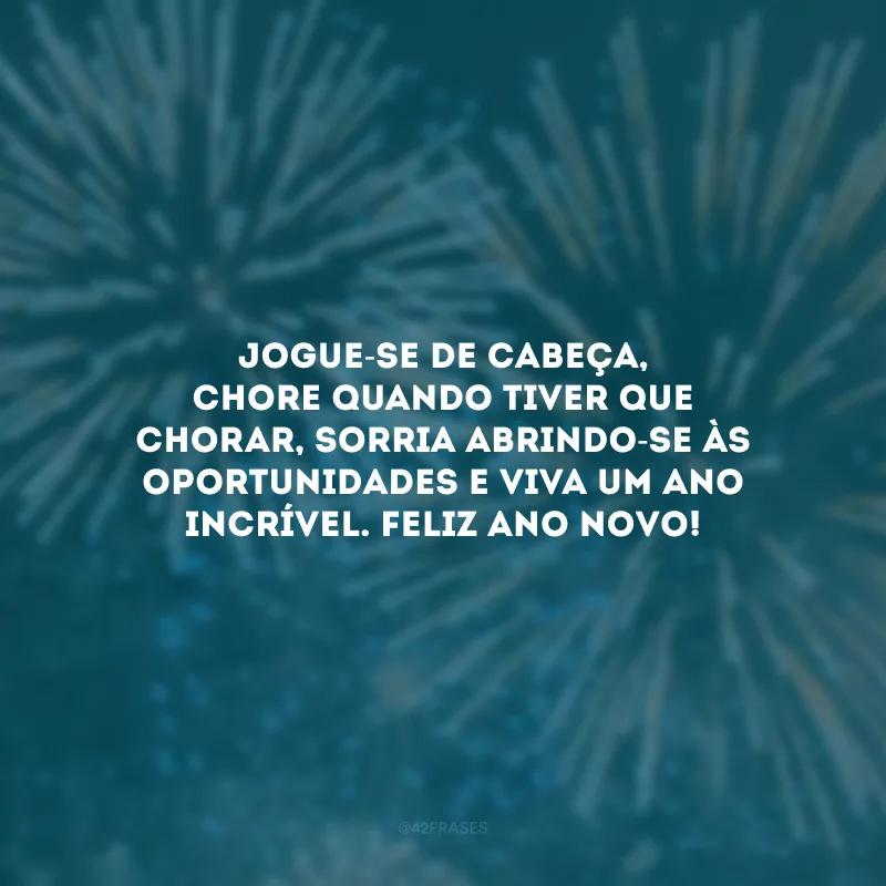 Jogue-se de cabeça, chore quando tiver que chorar, sorria abrindo-se às oportunidades e viva um ano incrível. Feliz Ano Novo!