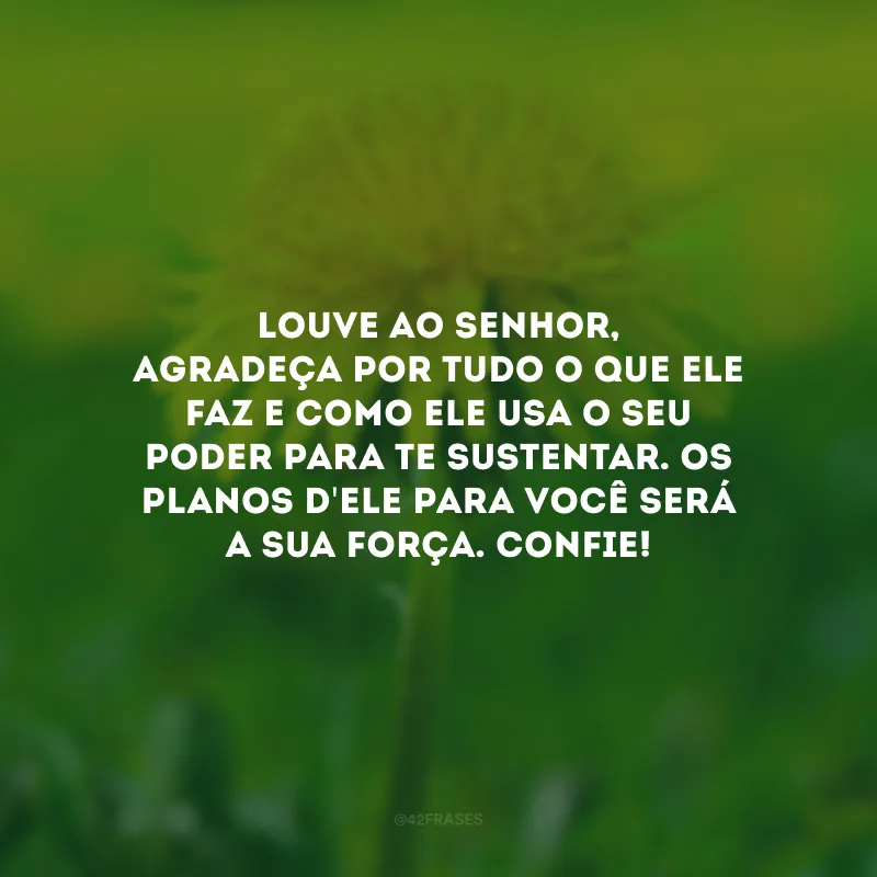 Louve ao Senhor, agradeça por tudo o que Ele faz e como Ele usa o Seu poder para te sustentar. Os planos d\'Ele para você será a sua força. Confie!