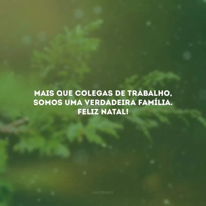 Mais que colegas de trabalho, somos uma verdadeira família. Feliz Natal!