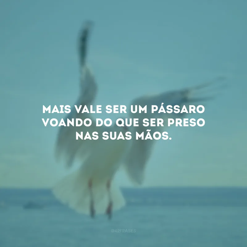Mais vale ser um pássaro voando do que ser preso nas suas mãos. 