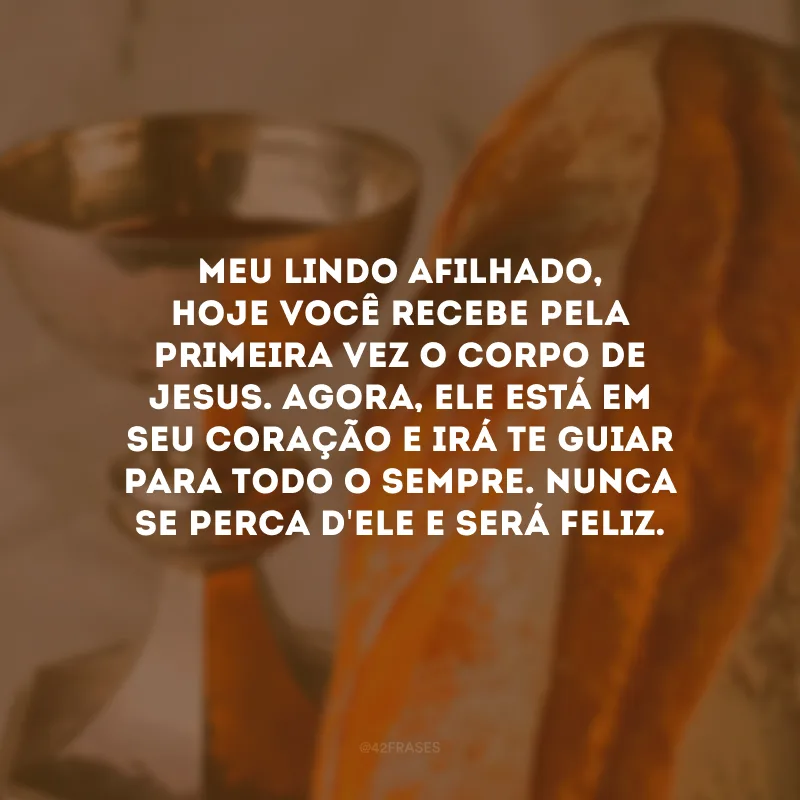 Meu lindo afilhado, hoje você recebe pela primeira vez o corpo de Jesus. Agora, Ele está em seu coração e irá te guiar para todo o sempre. Nunca se perca d\'Ele e será feliz.