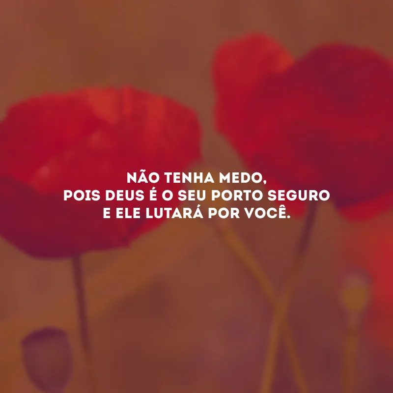Não tenha medo, pois Deus é o seu porto seguro e Ele lutará por você.