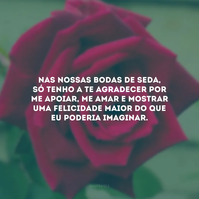 Nas nossas bodas de seda, só tenho a te agradecer por me apoiar, me amar e mostrar uma felicidade maior do que eu poderia imaginar.