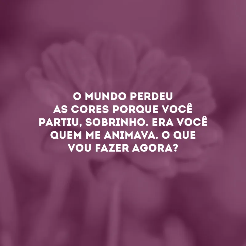 O mundo perdeu as cores porque você partiu, sobrinho. Era você quem me animava. O que vou fazer agora?