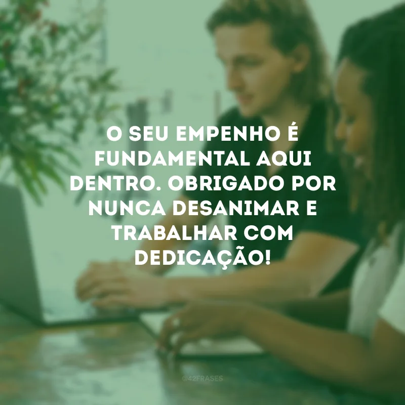 O seu empenho é fundamental aqui dentro. Obrigado por nunca desanimar e trabalhar com dedicação!