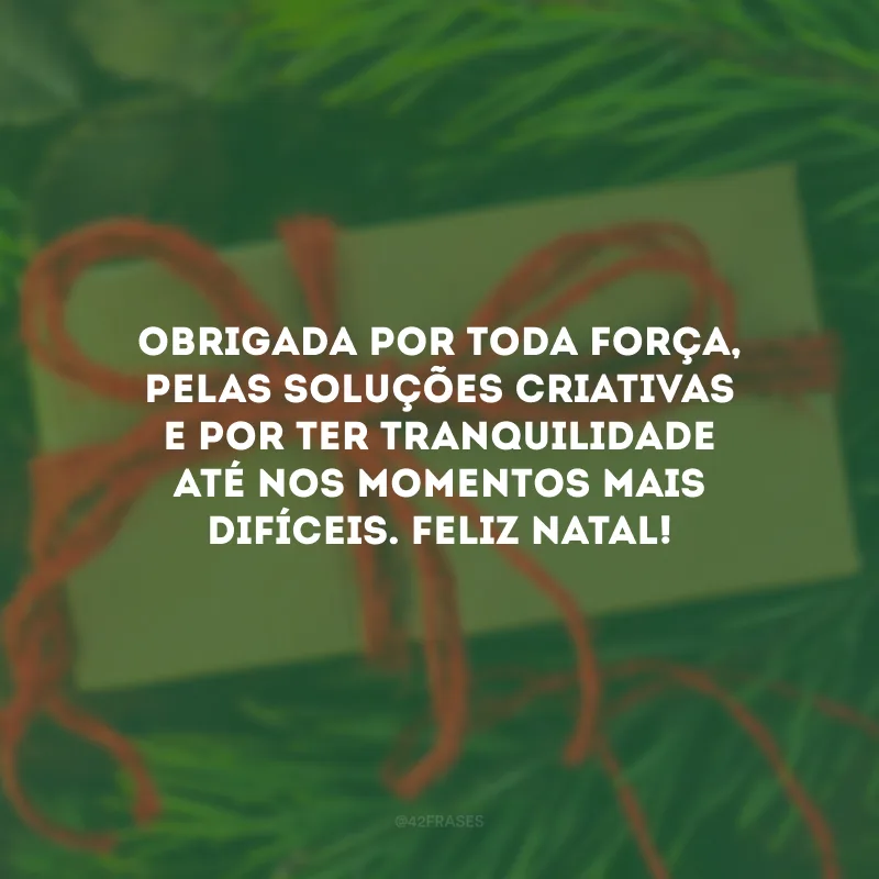 Obrigada por toda força, pelas soluções criativas e por ter tranquilidade até nos momentos mais difíceis. Feliz Natal!