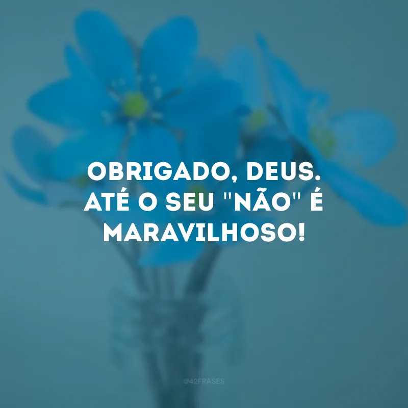 Obrigado, Deus. Até o seu \"não\" é maravilhoso!