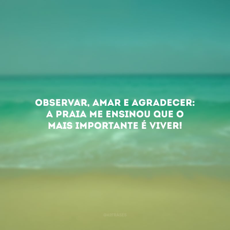 Observar, amar e agradecer: a praia me ensinou que o mais importante é viver!