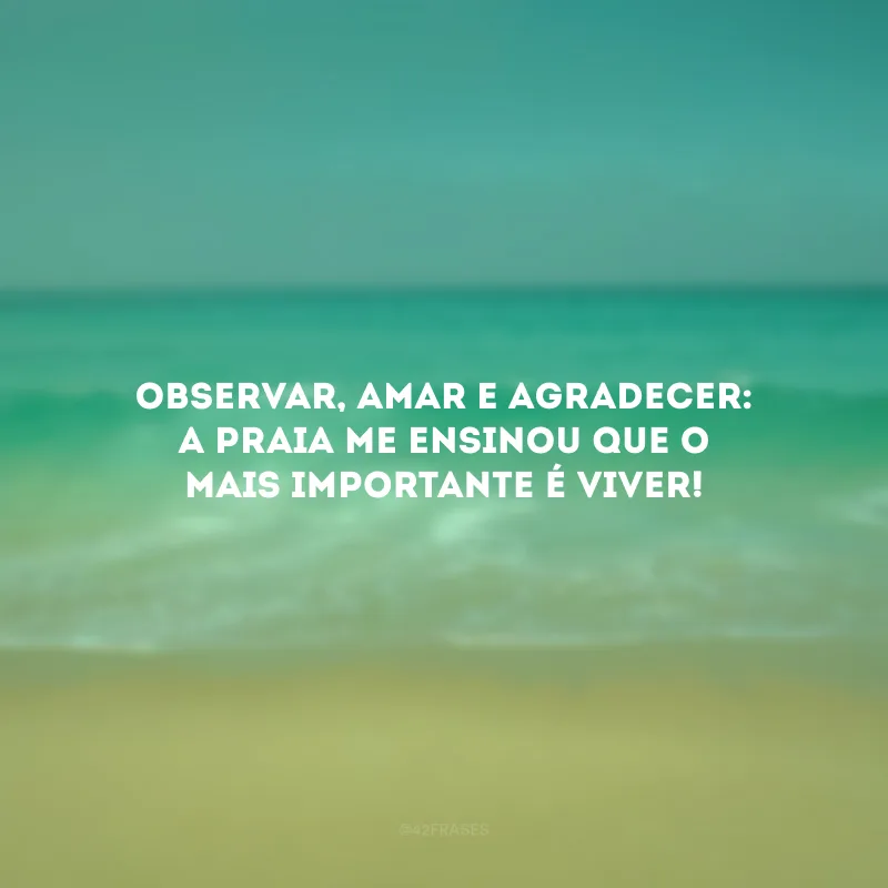 Observar, amar e agradecer: a praia me ensinou que o mais importante é viver!