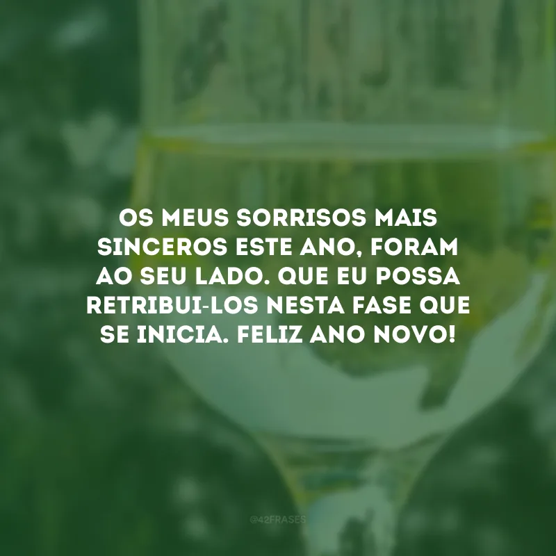 Os meus sorrisos mais sinceros este ano, foram ao seu lado. Que eu possa retribui-los nesta fase que se inicia. Feliz Ano Novo!