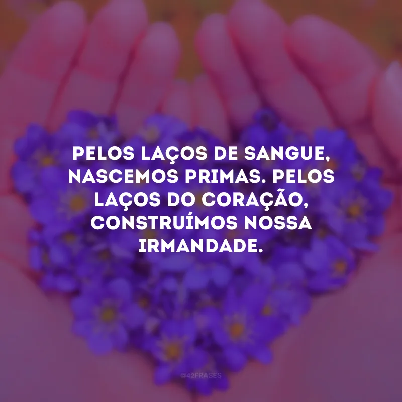 Pelos laços de sangue, nascemos primas. Pelos laços do coração, construímos nossa irmandade.