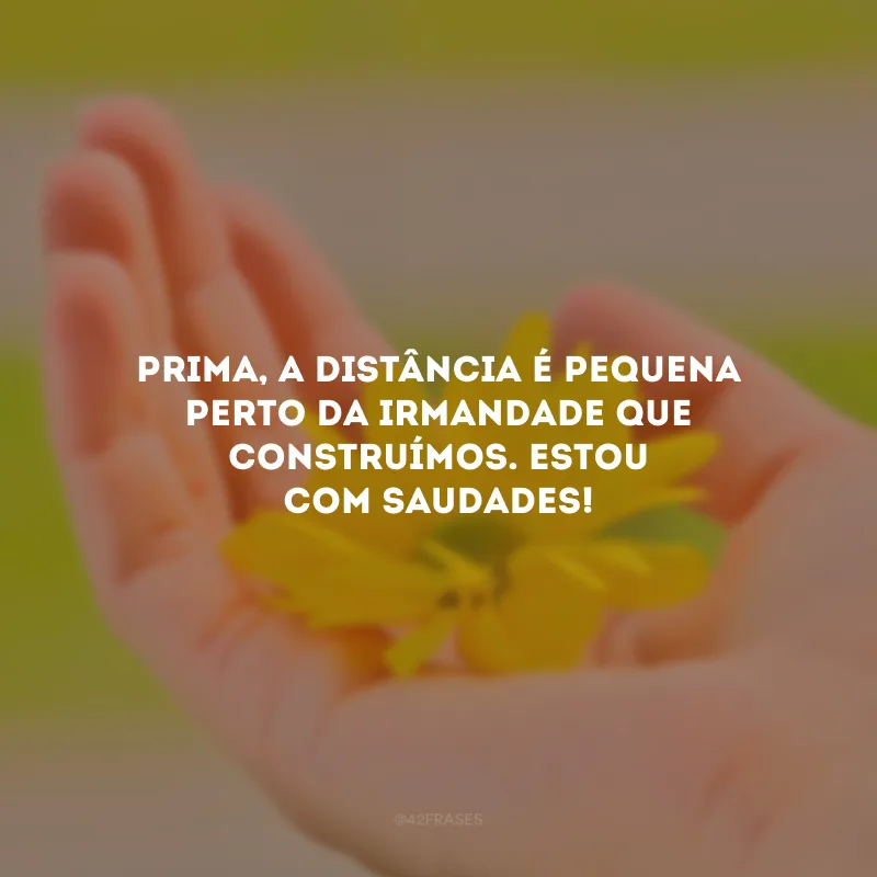 Prima, a distância é pequena perto da irmandade que construímos. Estou com saudades!