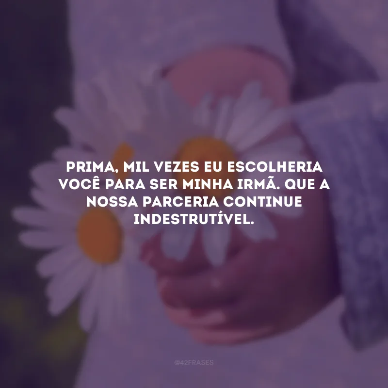 Prima, mil vezes eu escolheria você para ser minha irmã. Que a nossa parceria continue indestrutível.