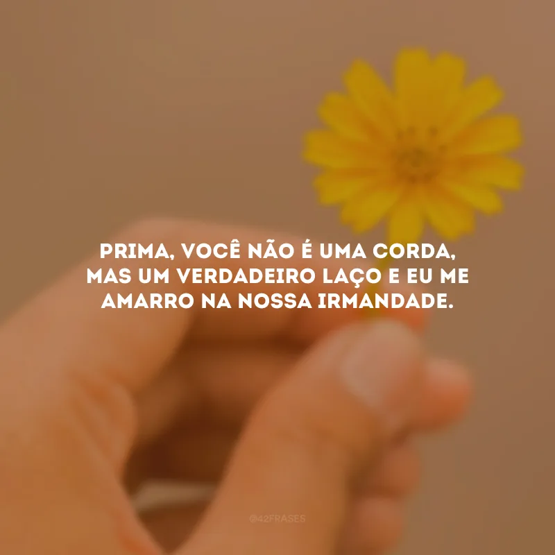 Prima, você não é uma corda, mas um verdadeiro laço e eu me amarro na nossa irmandade.