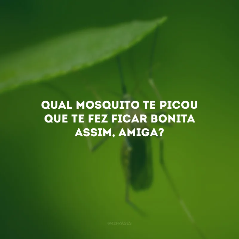 Qual mosquito te picou que te fez ficar bonita assim, amiga?