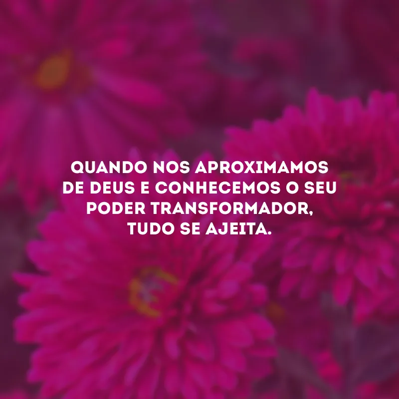 Quando nos aproximamos de Deus e conhecemos o Seu poder transformador, tudo se ajeita.