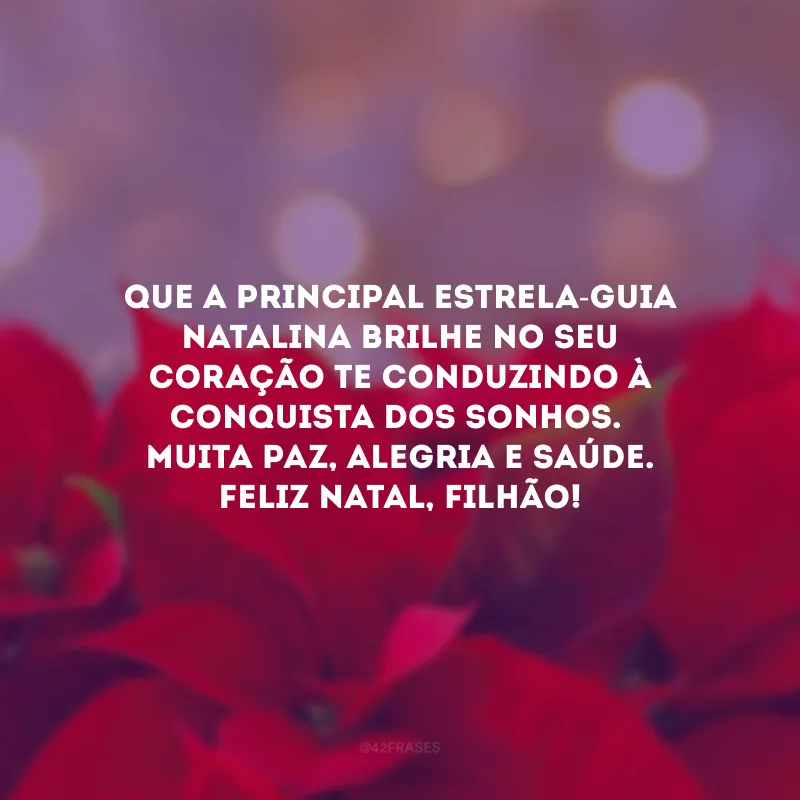 Que a principal estrela-guia natalina brilhe no seu coração te conduzindo à conquista dos sonhos. Muita paz, alegria e saúde. Feliz Natal, filhão!