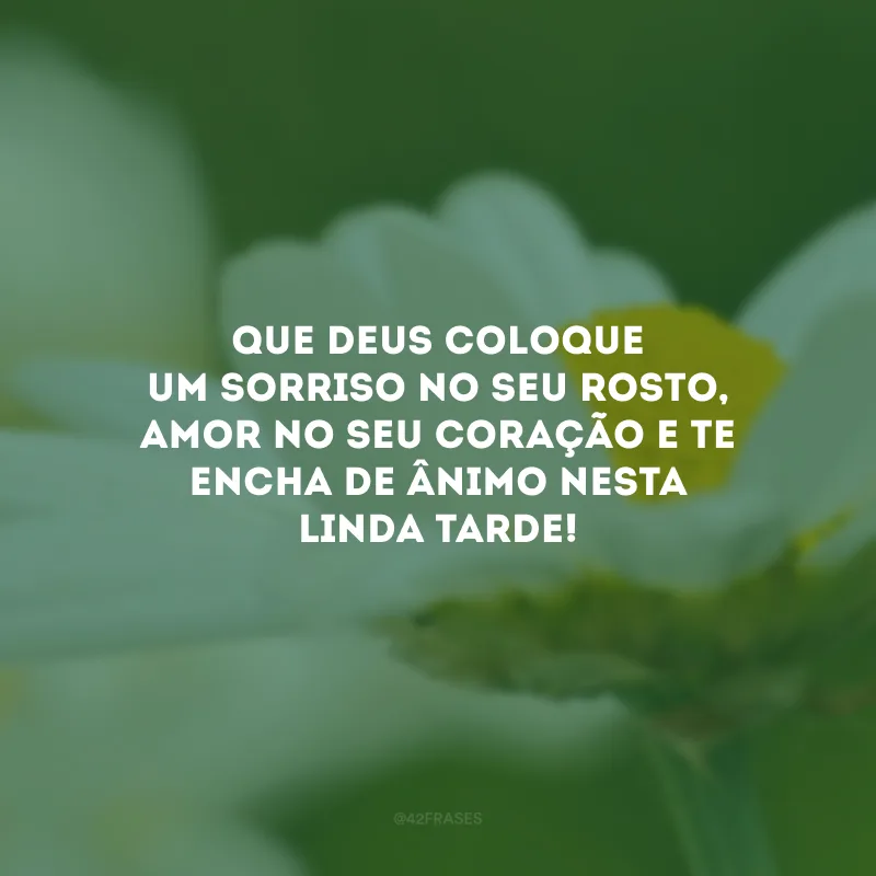 Que Deus coloque um sorriso no seu rosto, amor no seu coração e te encha de ânimo nesta linda tarde!