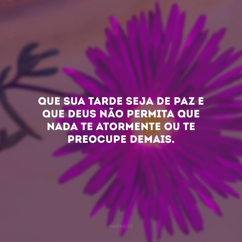 Que sua tarde seja de paz e que Deus não permita que nada te atormente ou te preocupe demais.