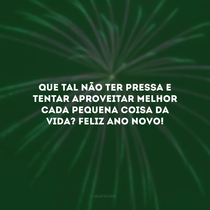 Que tal não ter pressa e tentar aproveitar melhor cada pequena coisa da vida? Feliz Ano Novo!