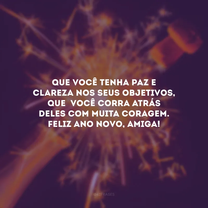 Que você tenha paz e clareza nos seus objetivos, que  você corra atrás deles com muita coragem. Feliz Ano Novo, amiga!