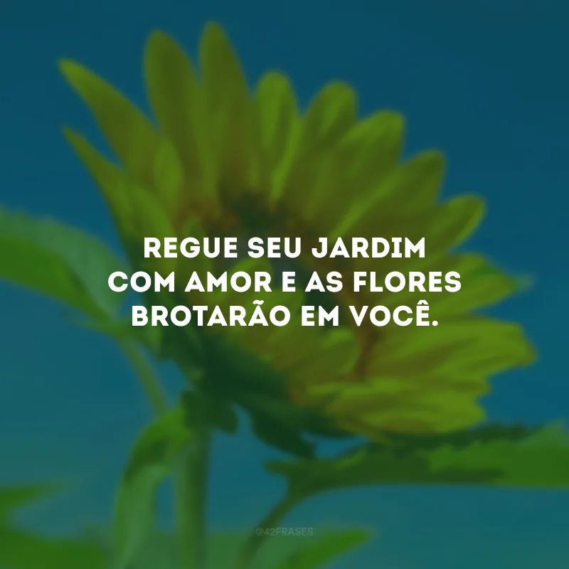 Regue seu jardim com amor e as flores brotarão em você.