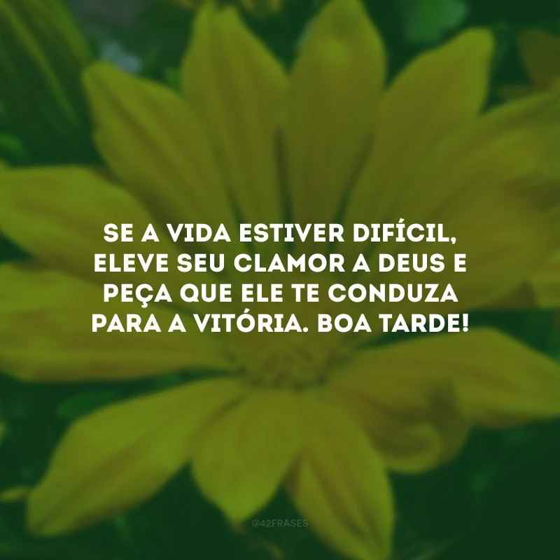 Se a vida estiver difícil, eleve seu clamor a Deus e peça que Ele te conduza para a vitória. Boa tarde!