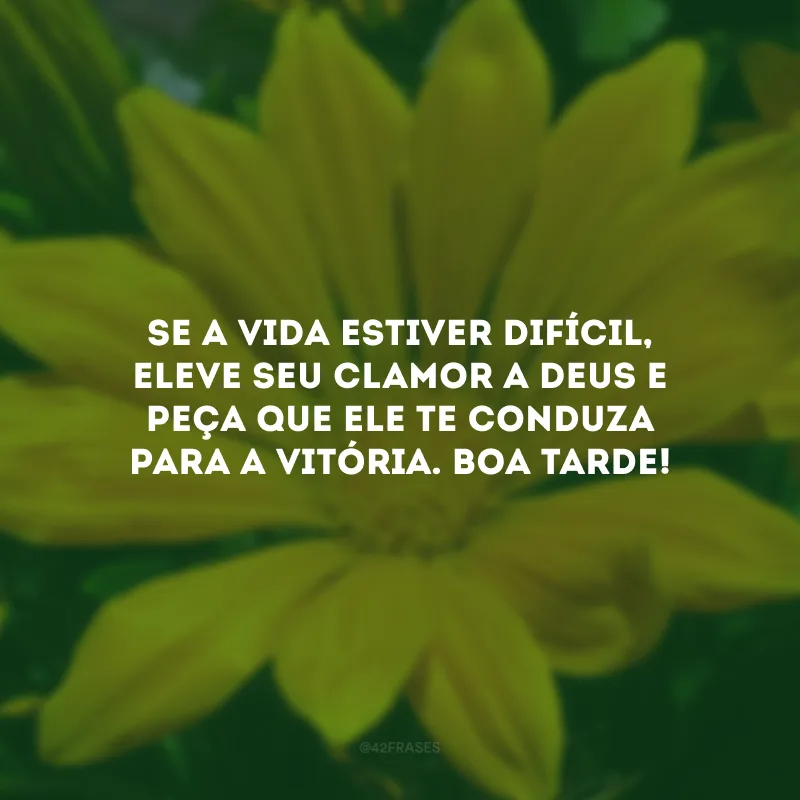 Se a vida estiver difícil, eleve seu clamor a Deus e peça que Ele te conduza para a vitória. Boa tarde!