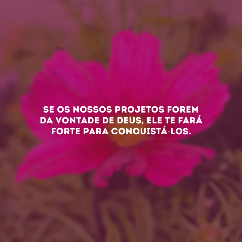 Se os nossos projetos forem da vontade de Deus, Ele te fará forte para conquistá-los.