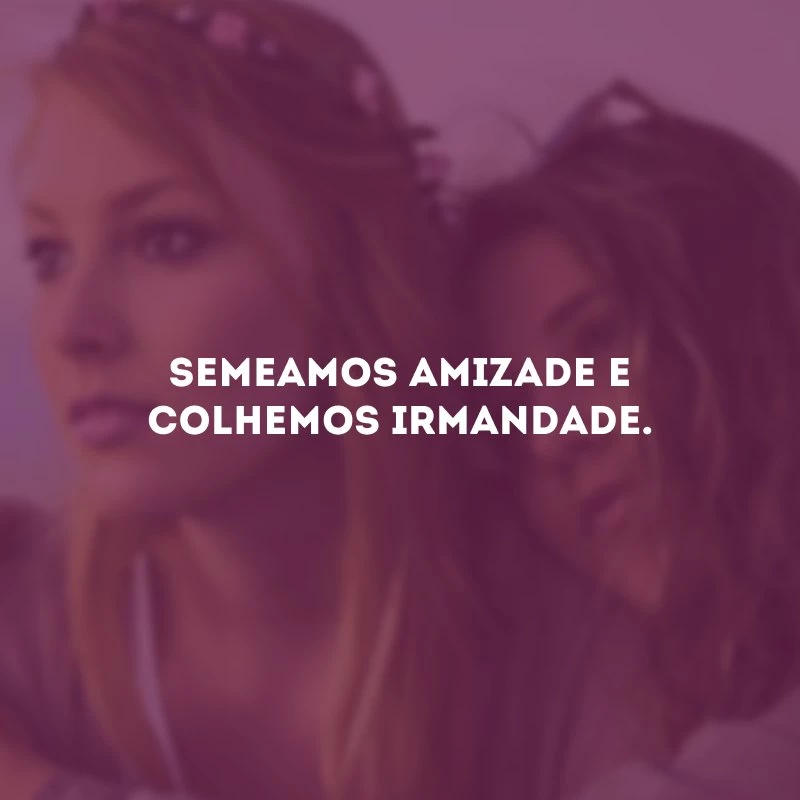 Semeamos amizade e colhemos irmandade.
