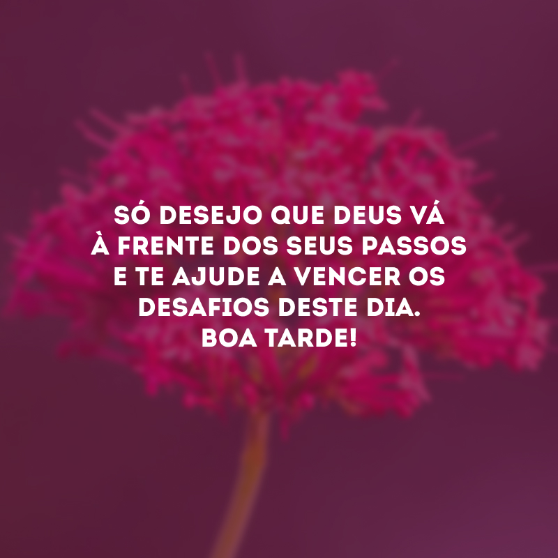 Só desejo que Deus vá à frente dos seus passos e te ajude a vencer os desafios deste dia. Boa tarde!