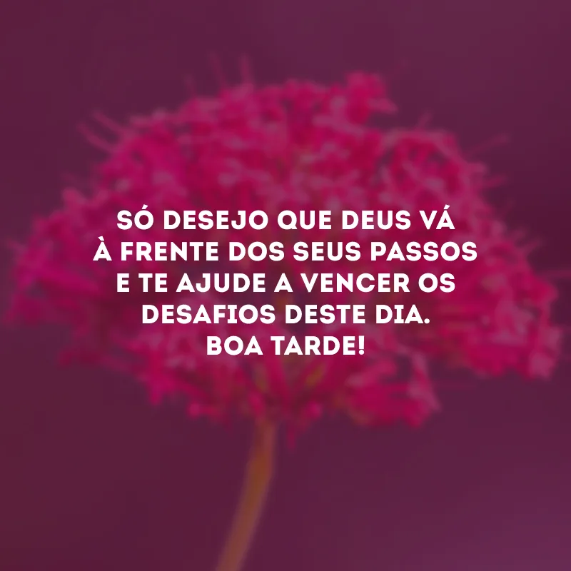 Só desejo que Deus vá à frente dos seus passos e te ajude a vencer os desafios deste dia. Boa tarde!