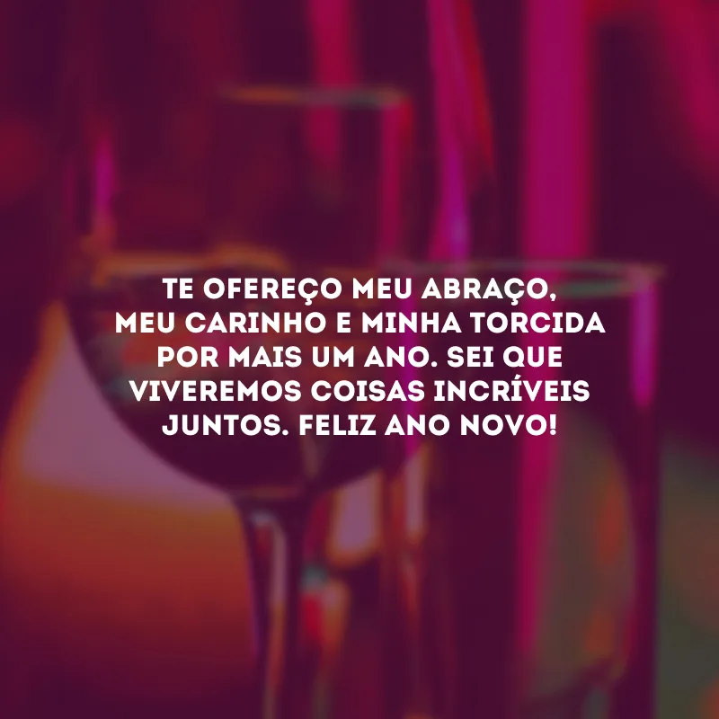 Te ofereço meu abraço, meu carinho e minha torcida por mais um ano. Sei que viveremos coisas incríveis juntos. Feliz Ano Novo!
