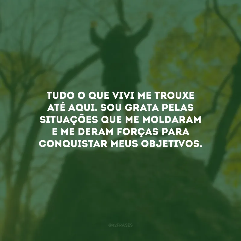 Tudo o que vivi me trouxe até aqui. Sou grata pelas situações que me moldaram e me deram forças para conquistar meus objetivos.