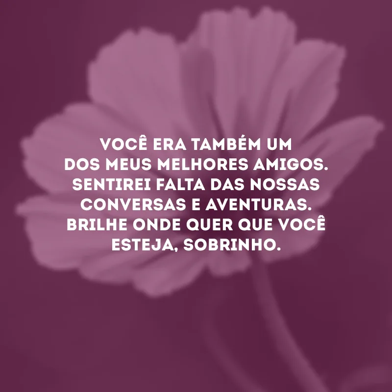 Você era também um dos meus melhores amigos. Sentirei falta das nossas conversas e aventuras. Brilhe onde quer que você esteja, sobrinho.