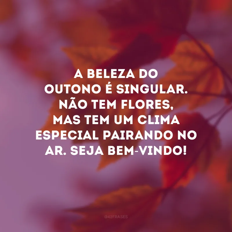 A beleza do outono é singular. Não tem flores, mas tem um clima especial pairando no ar. Seja bem-vindo!