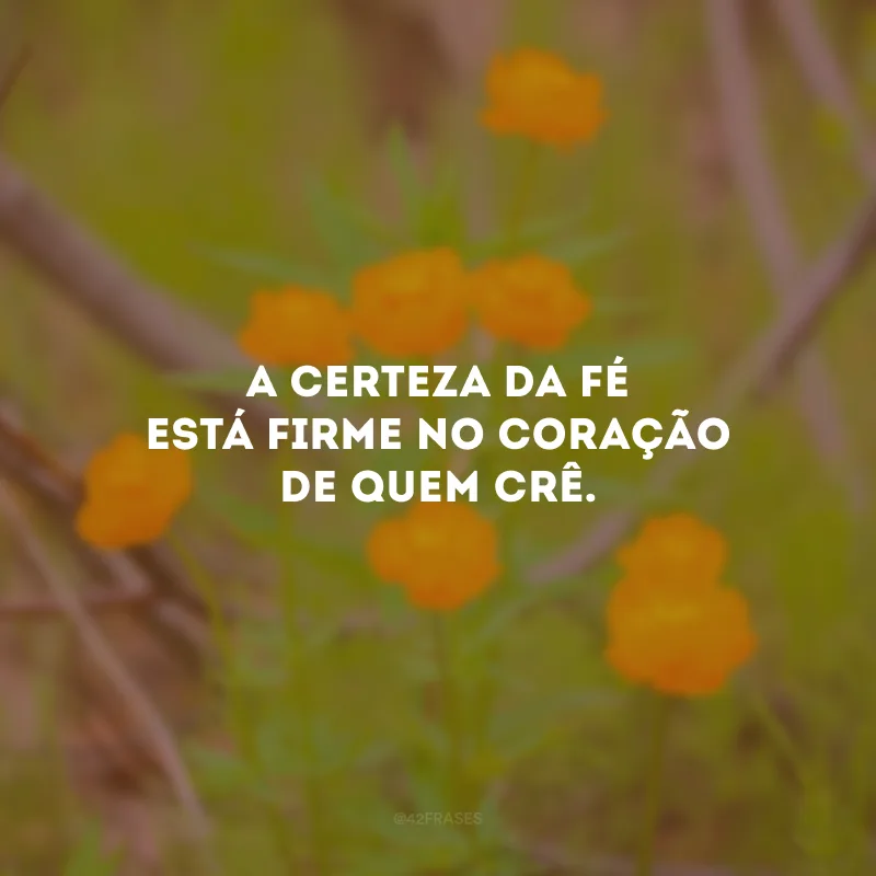 A certeza da fé está firme no coração de quem crê.