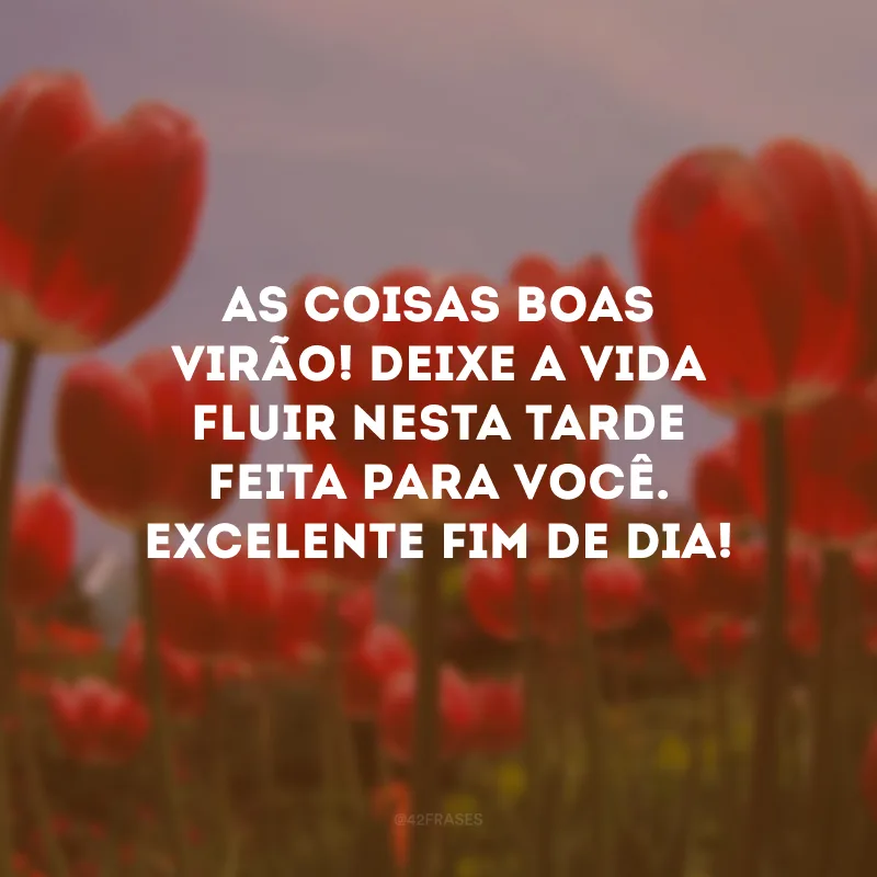 As coisas boas virão! Deixe a vida fluir nesta tarde feita para você. Excelente fim de dia! 