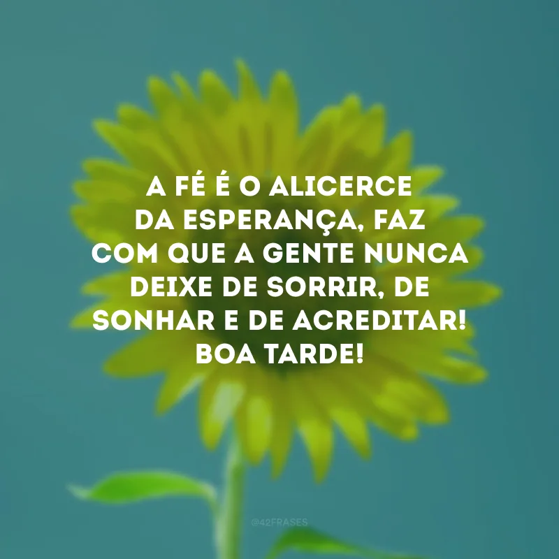 A fé é o alicerce da esperança, faz com que a gente nunca deixe de sorrir, de sonhar e de acreditar! Boa tarde!