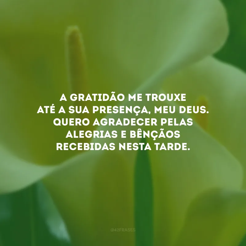 A gratidão me trouxe até a Sua presença, meu Deus. Quero agradecer pelas alegrias e bênçãos recebidas nesta tarde.