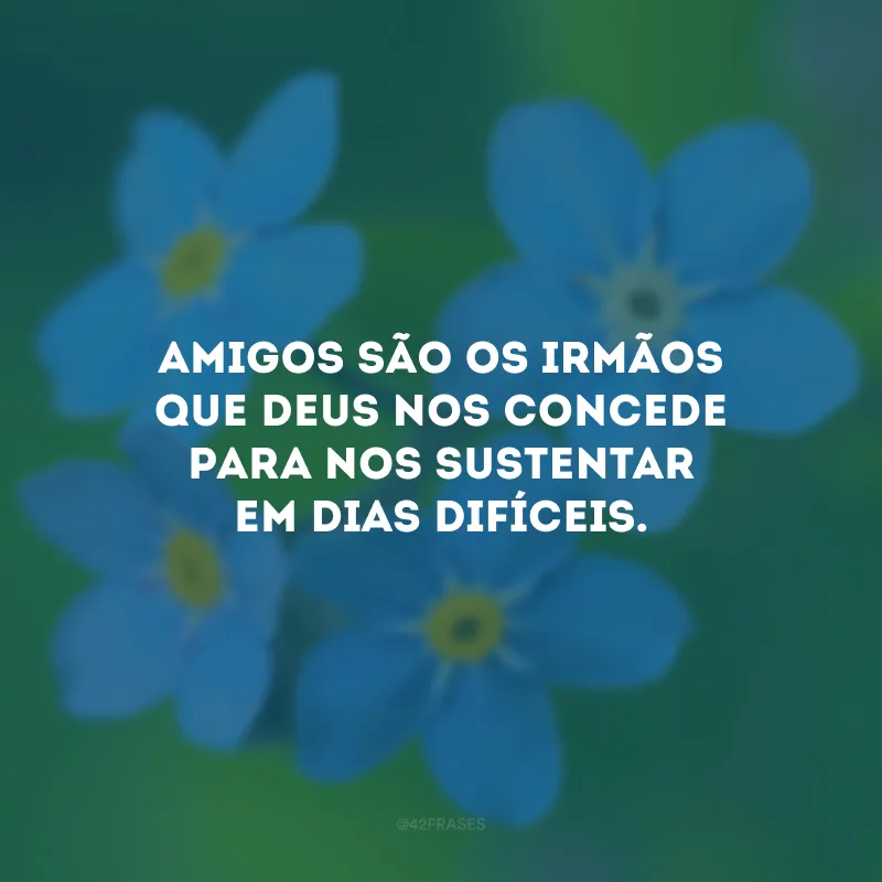 Amigos são os irmãos que Deus nos concede para nos sustentar em dias difíceis.