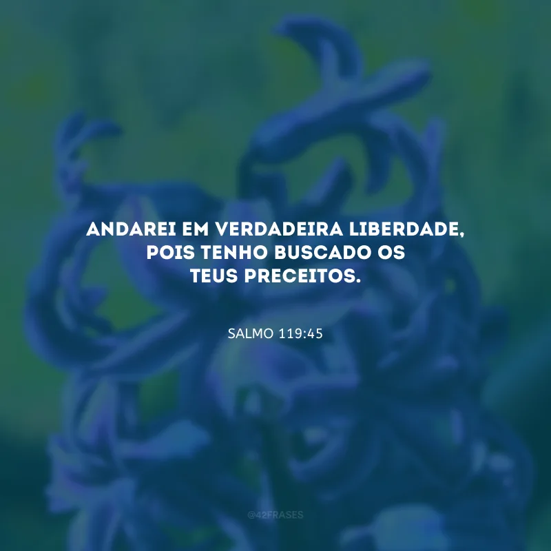 Andarei em verdadeira liberdade, pois tenho buscado os Teus preceitos.
